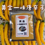 黄金一味唐辛子